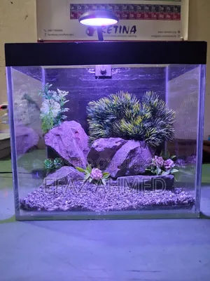 Crystal Clear Nano Glass Aquarium (9" × 6" × 8.2") | 3 Package Options