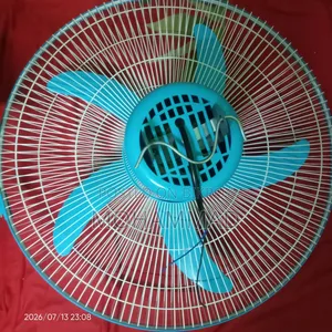 Vizard Fan