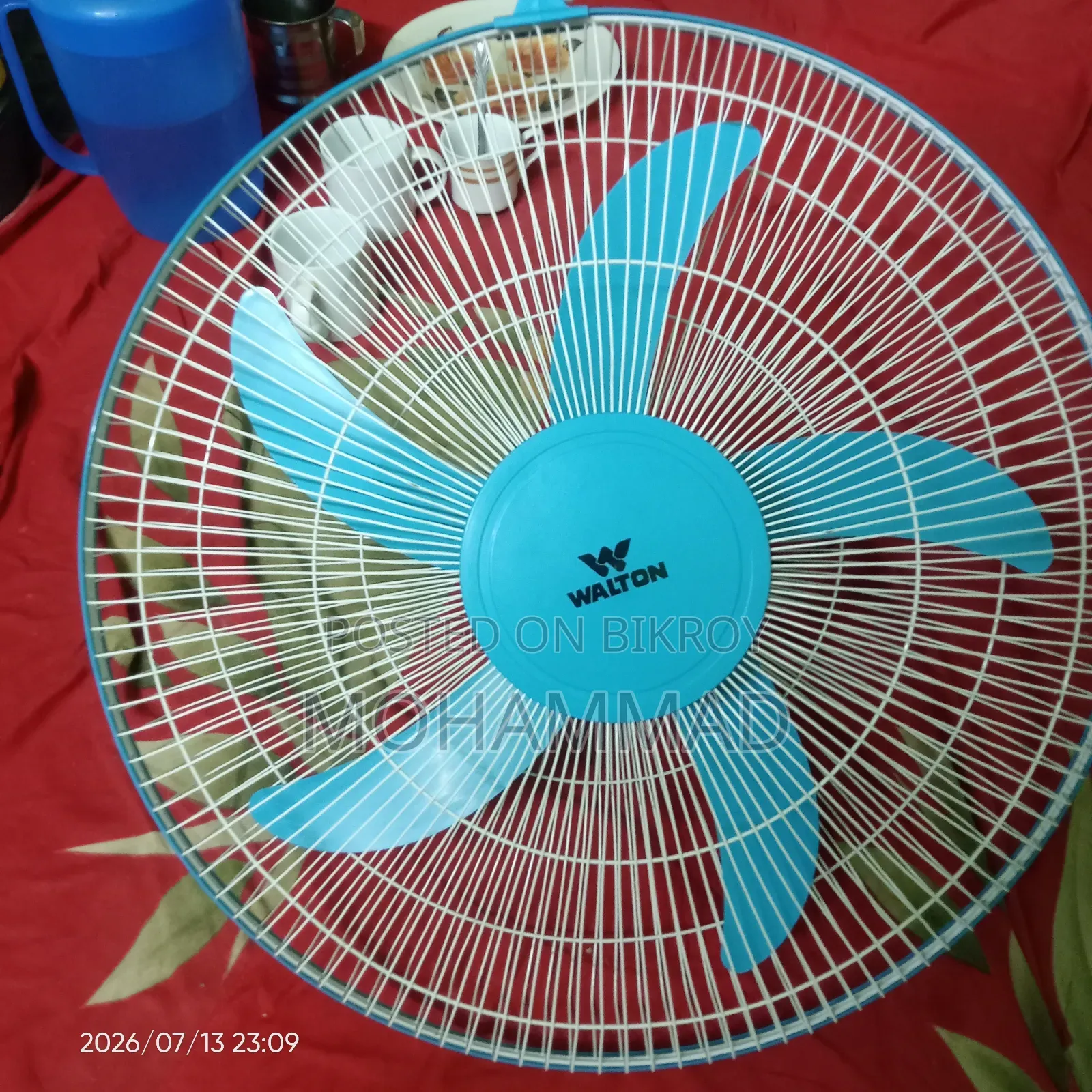 Vizard Fan