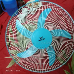 Vizard Fan