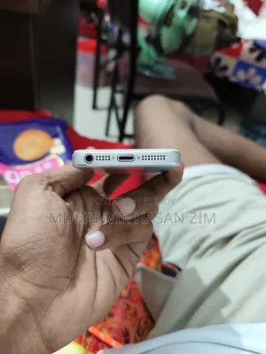 Apple iPhone 5s 32 GB Silver