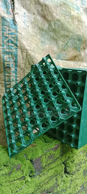কোয়েল পাখির ডিমের ট্রে