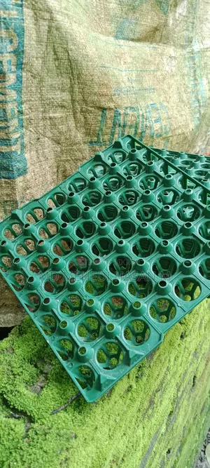 কোয়েল পাখির ডিমের ট্রে
