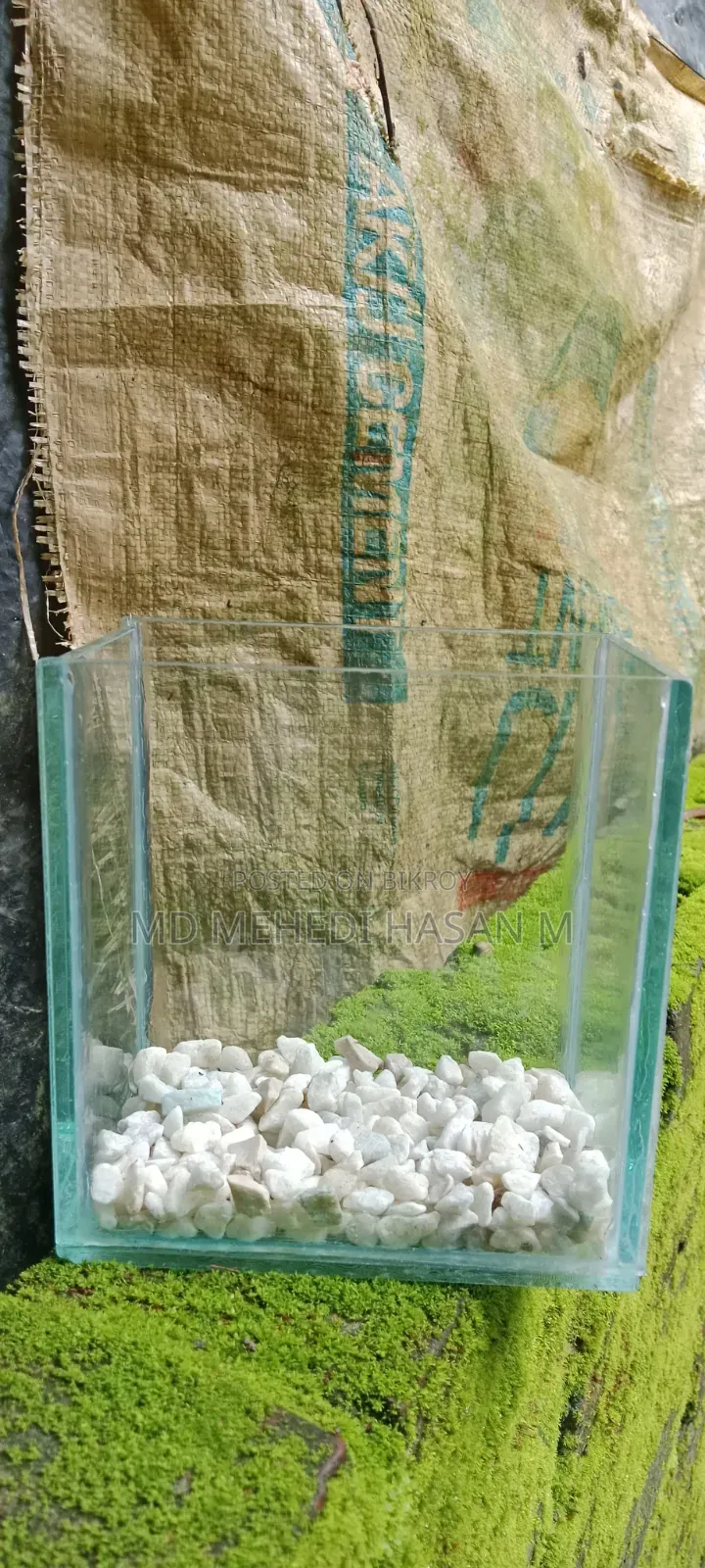 রঙ্গিন মাছের ছোট ট্রে
