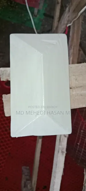 রঙ্গিন মাছের ছোট ট্রে