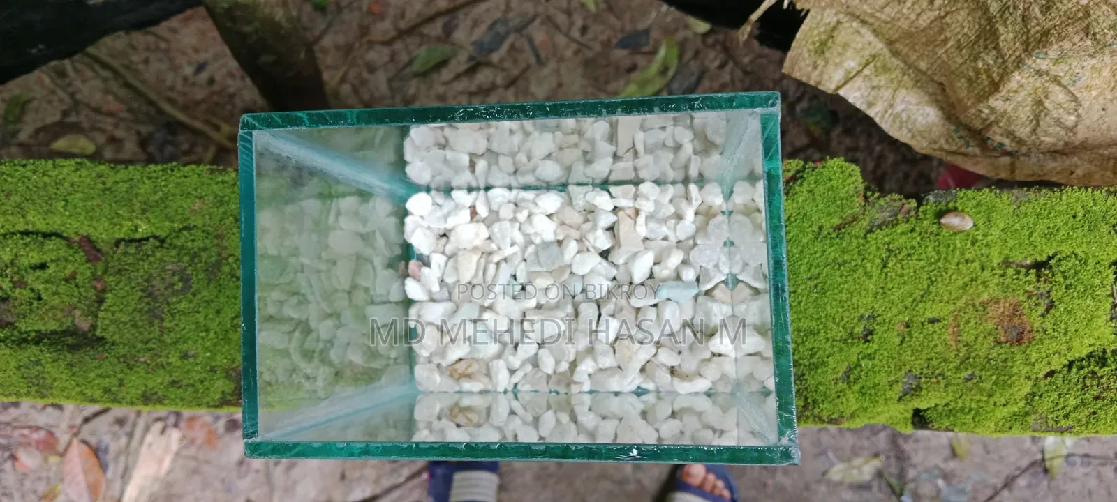 রঙ্গিন মাছের ছোট ট্রে