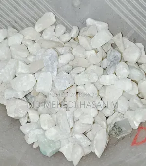 রঙ্গিন মাছের ছোট ট্রে