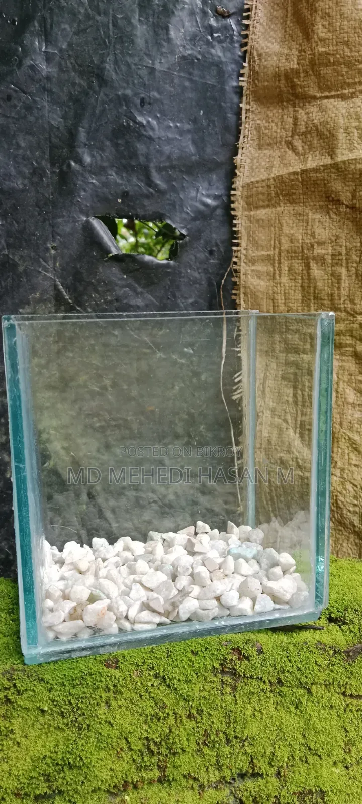 রঙ্গিন মাছের ছোট ট্রে