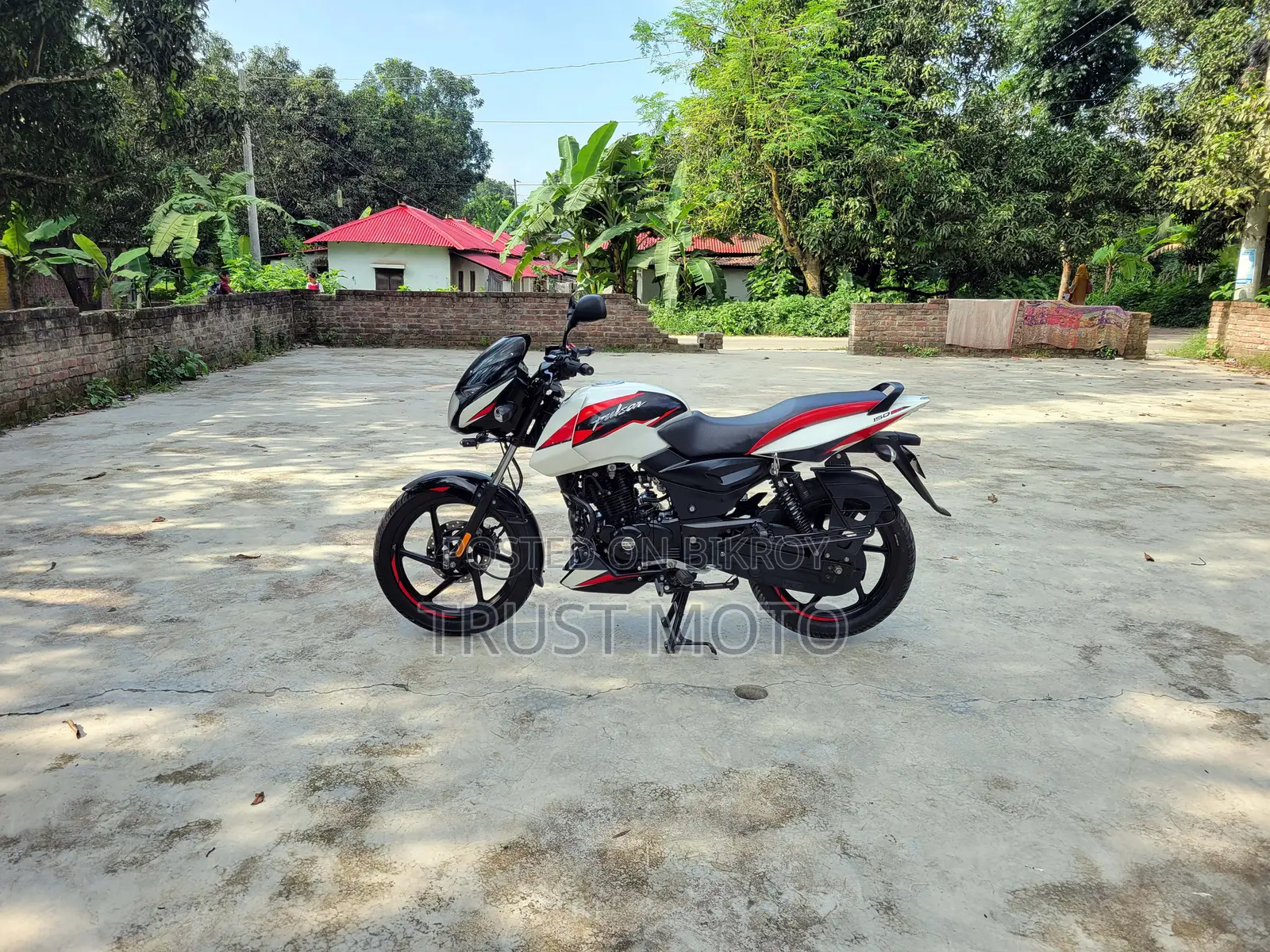 Bajaj Pulsar 150 2023 সাদা