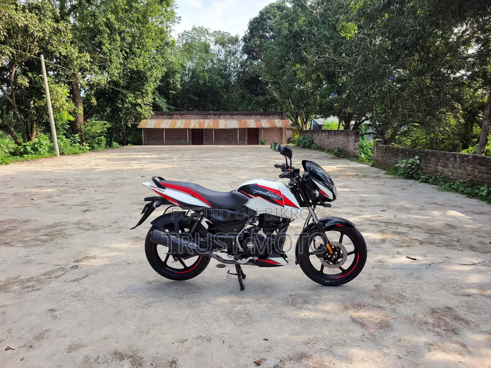 Bajaj Pulsar 150 2023 সাদা