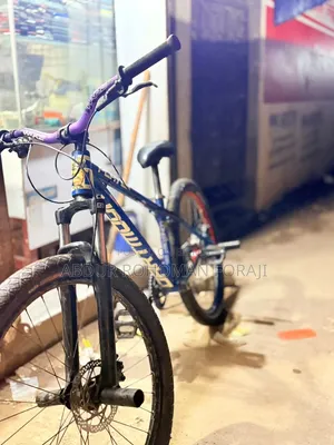 Stunt Cycle