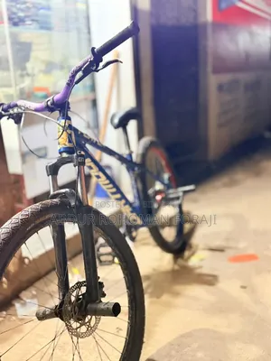 Stunt Cycle