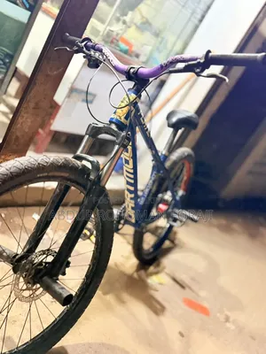 Stunt Cycle