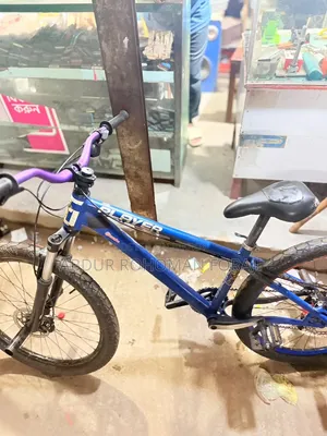 Stunt Cycle