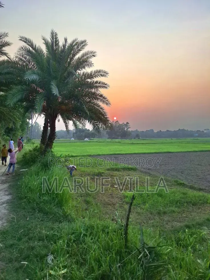 8 decimals of land for sale in Comilla