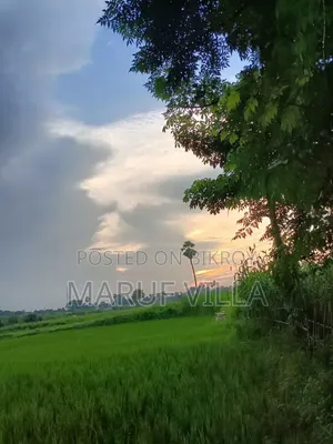 8 decimals of land for sale in Comilla