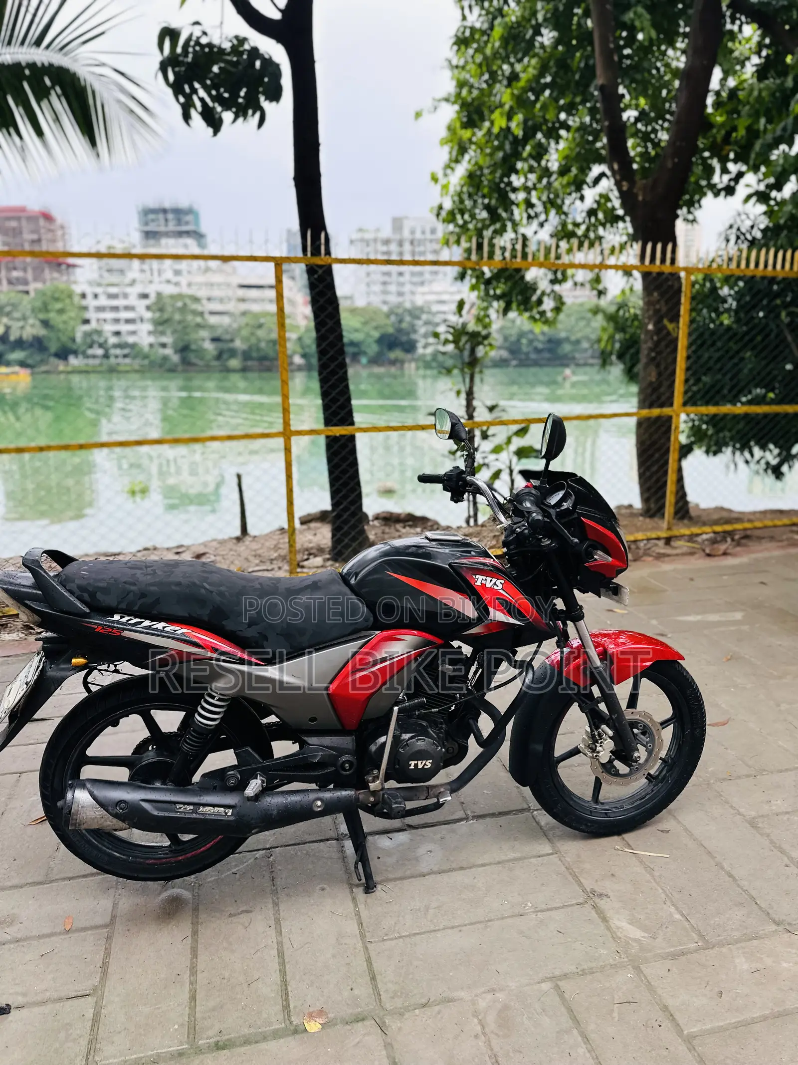 TVS Stryker 125 2024 Red
