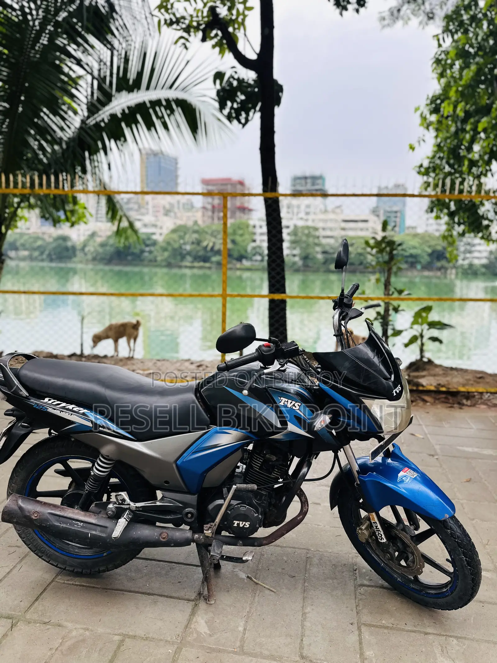 TVS Stryker 125 2018 Blue