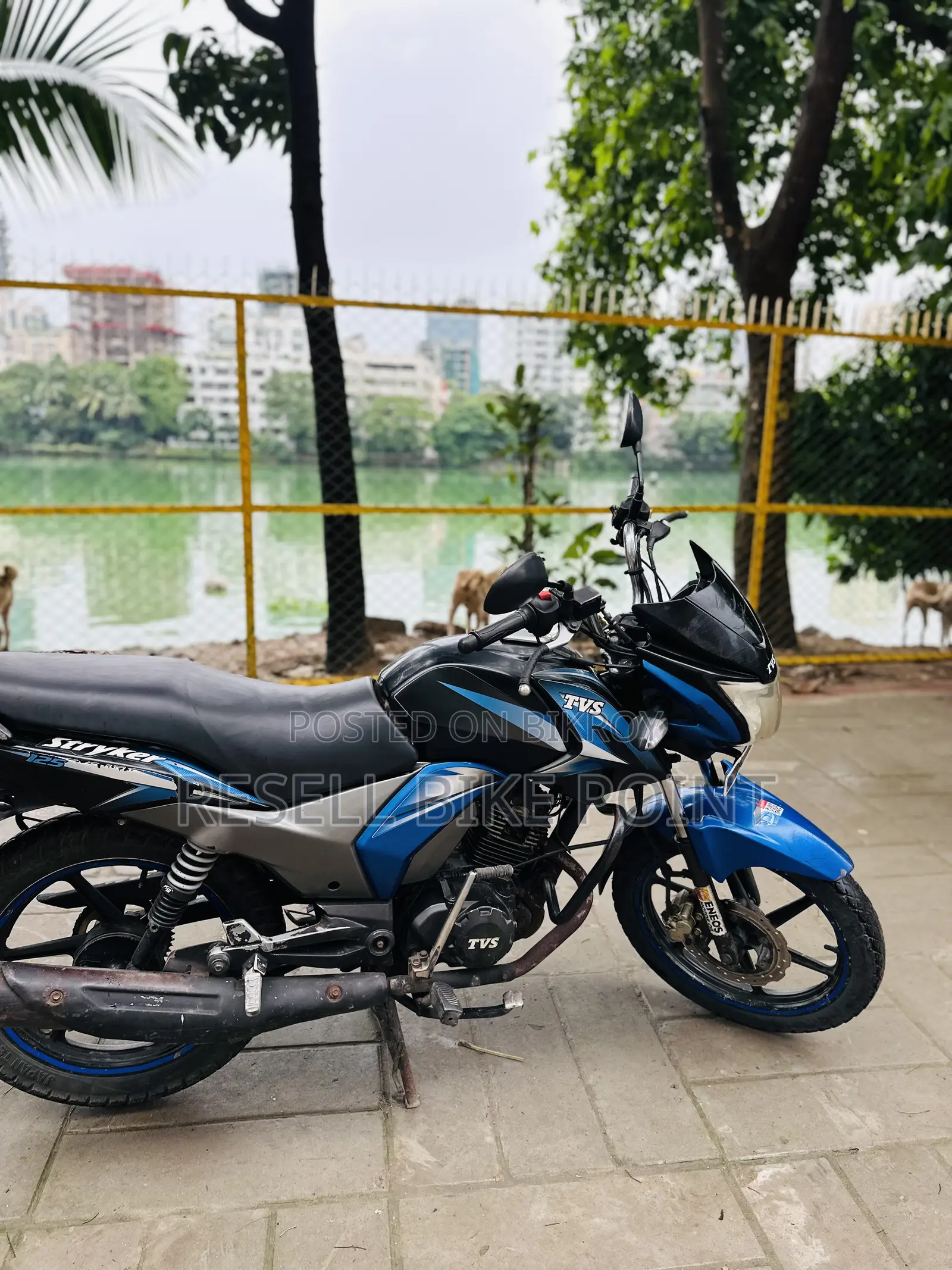 TVS Stryker 125 2018 Blue