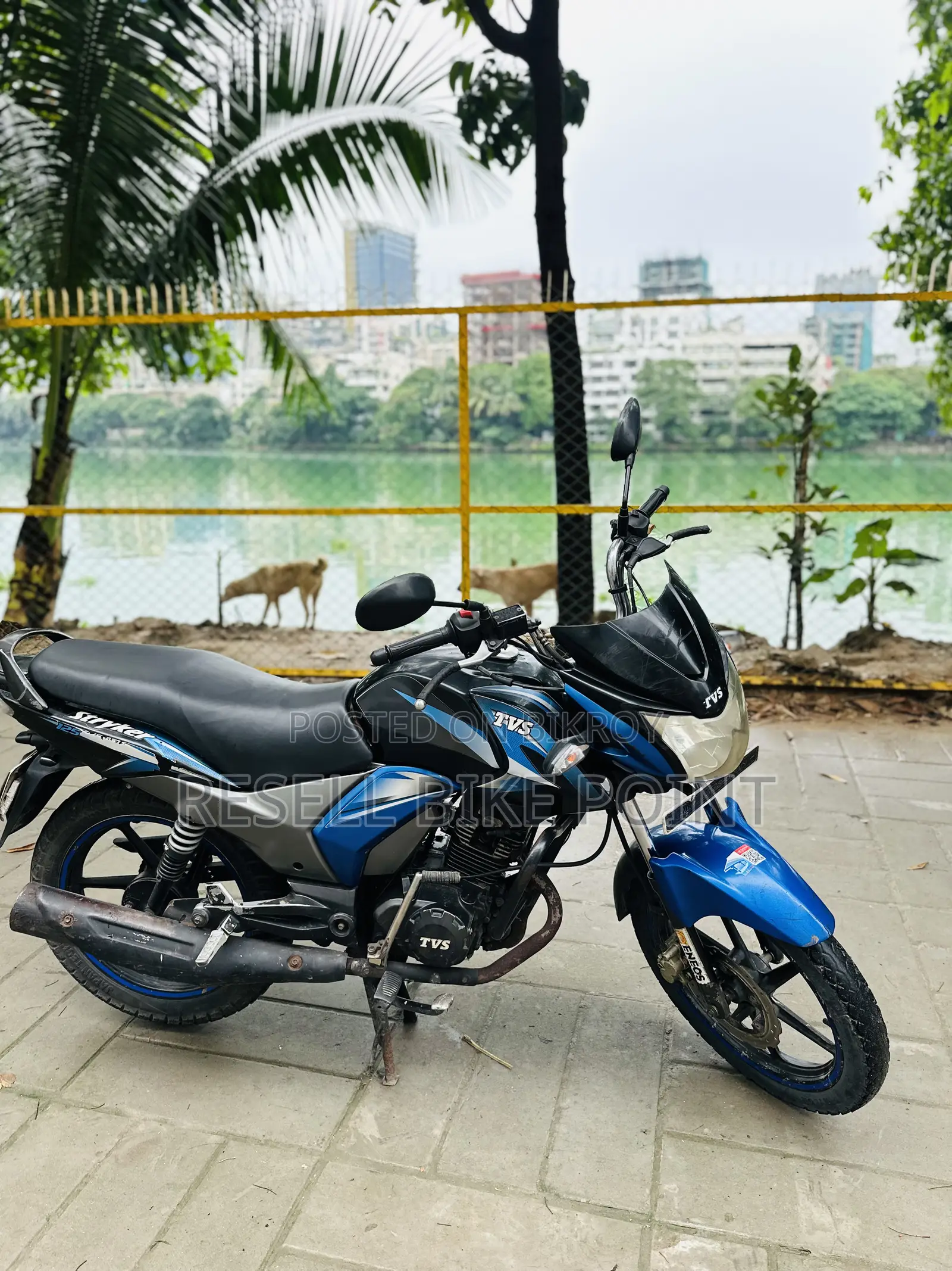 TVS Stryker 125 2018 Blue