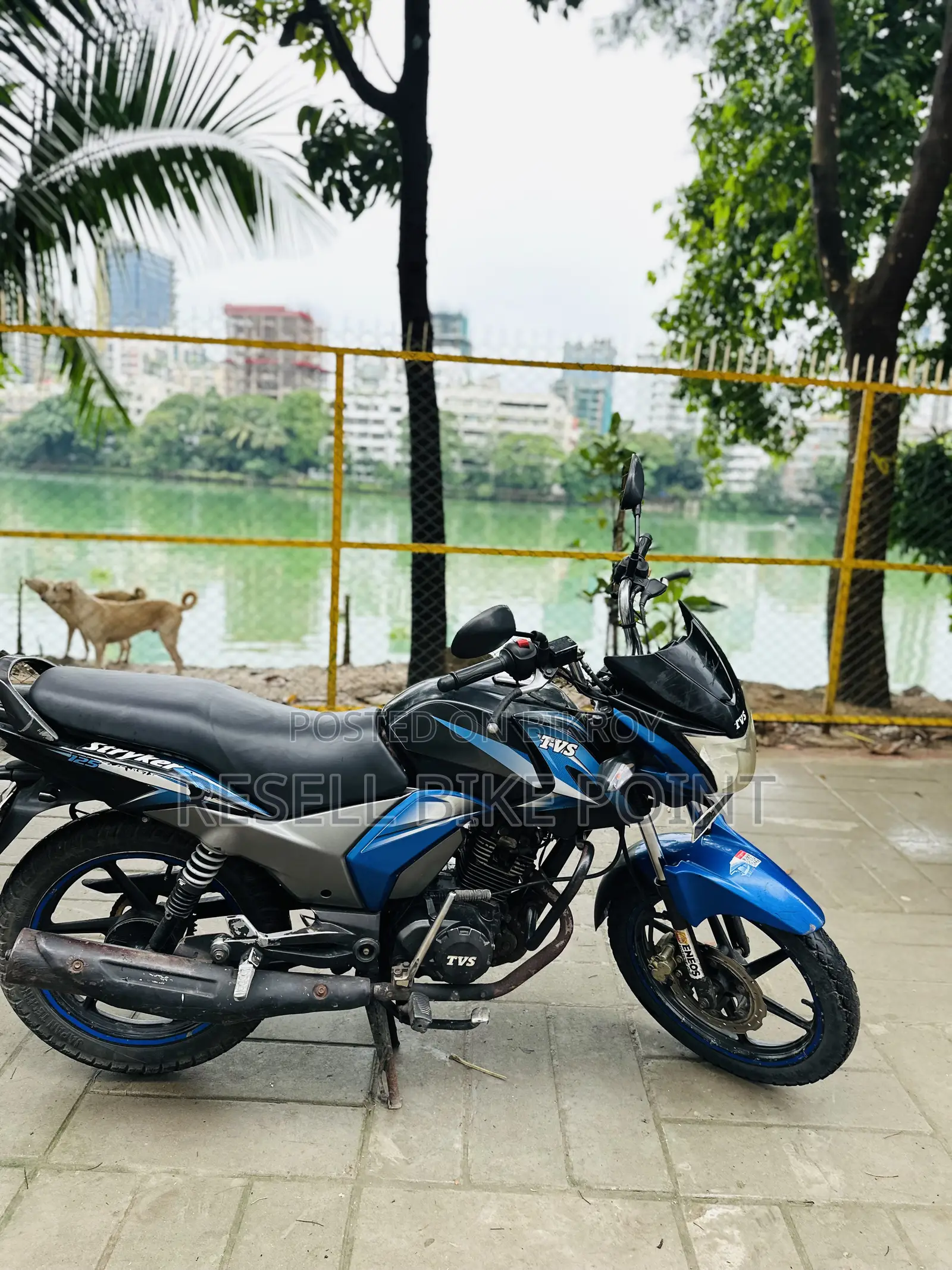 TVS Stryker 125 2018 Blue