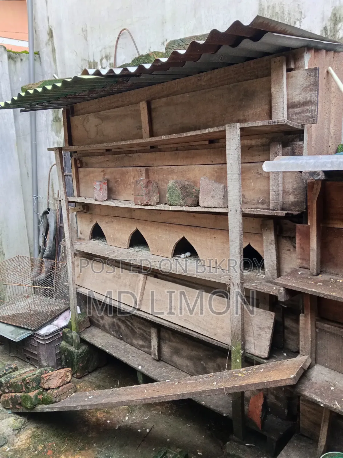 Pigeon Coop