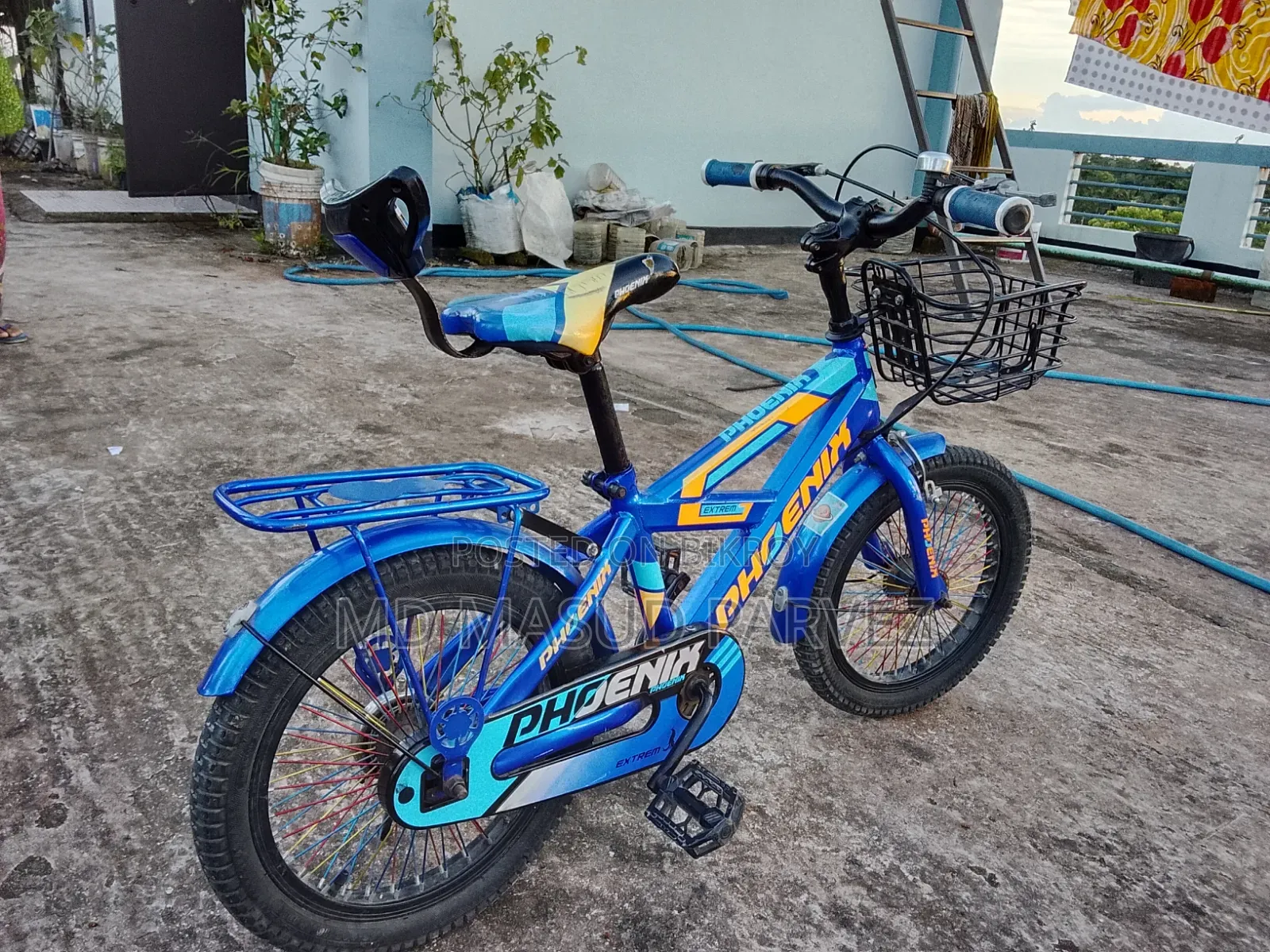 Bicycle Phoenix
