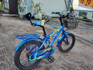 Bicycle Phoenix