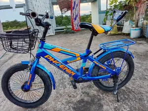 Bicycle Phoenix
