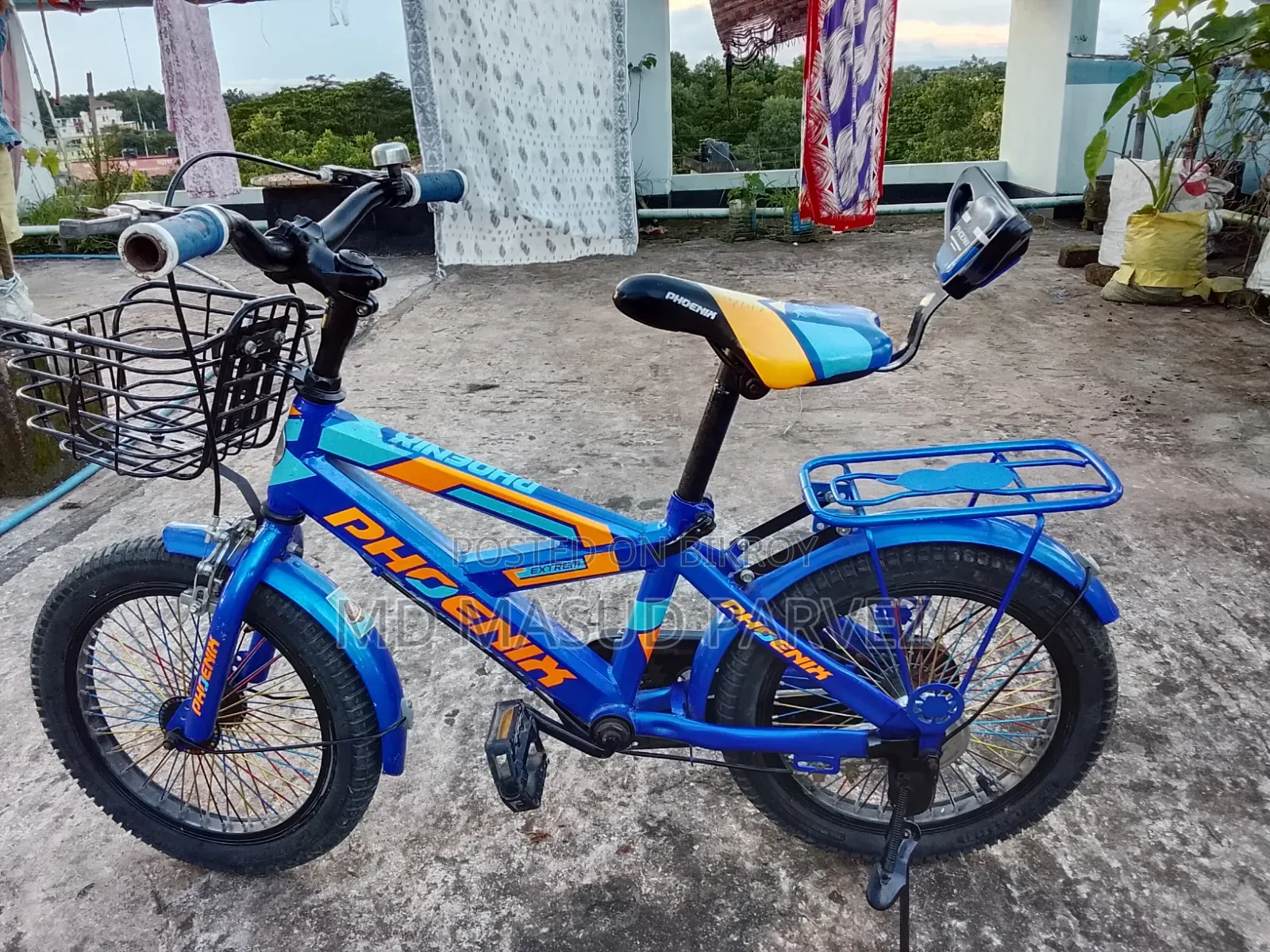 Bicycle Phoenix
