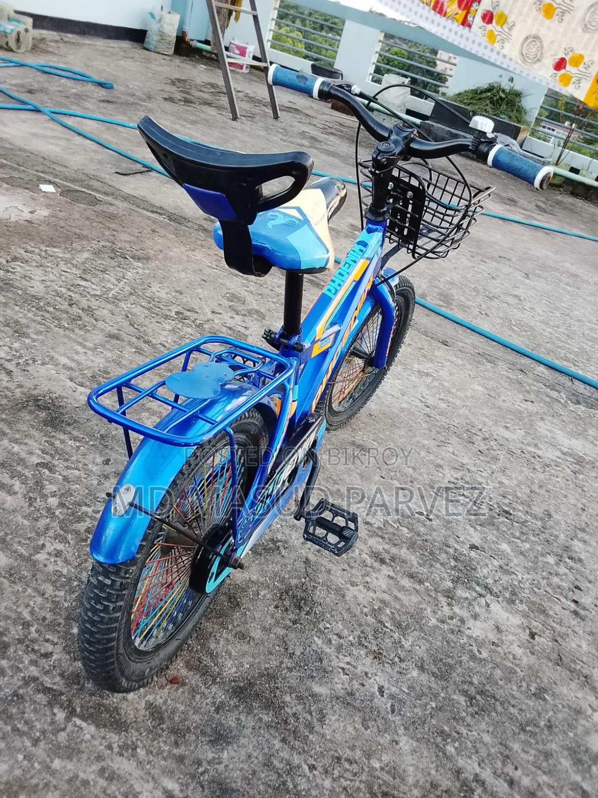 Bicycle Phoenix