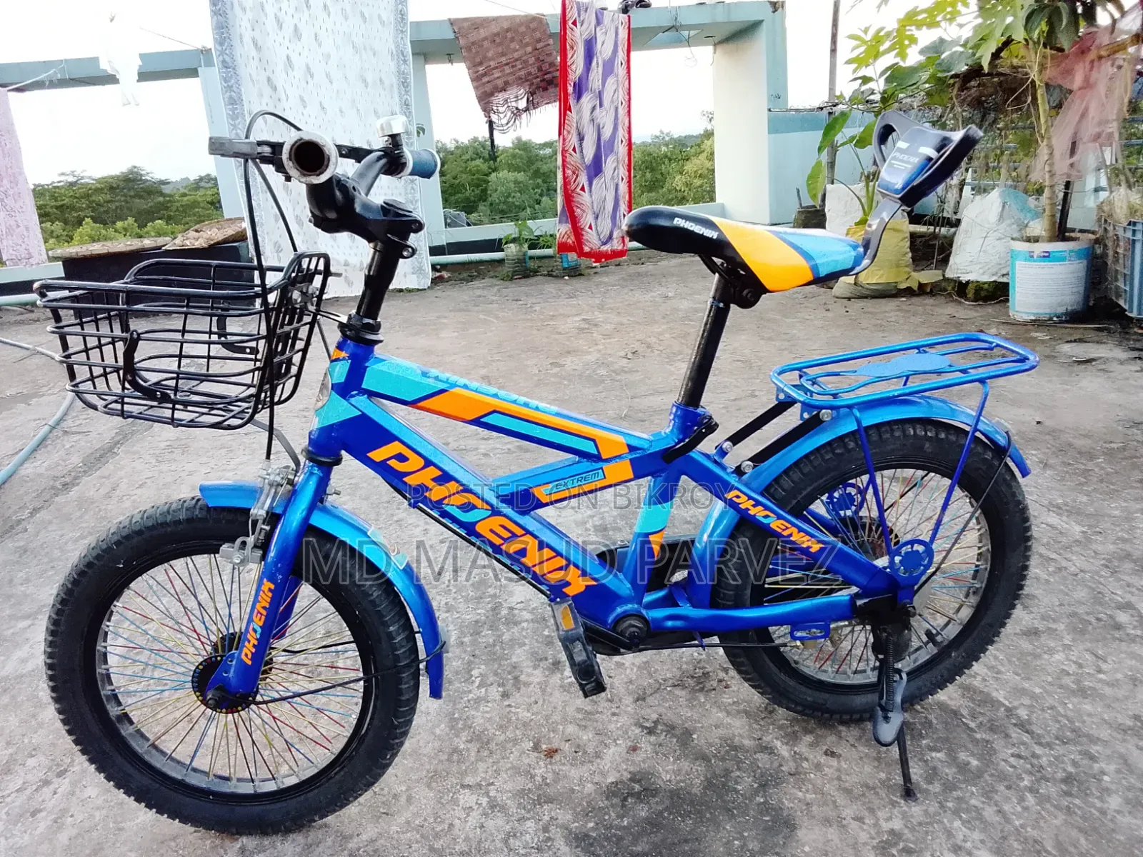 Bicycle Phoenix
