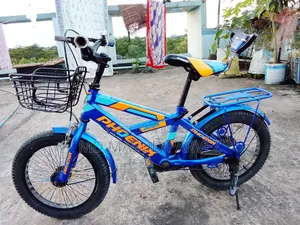 Bicycle Phoenix