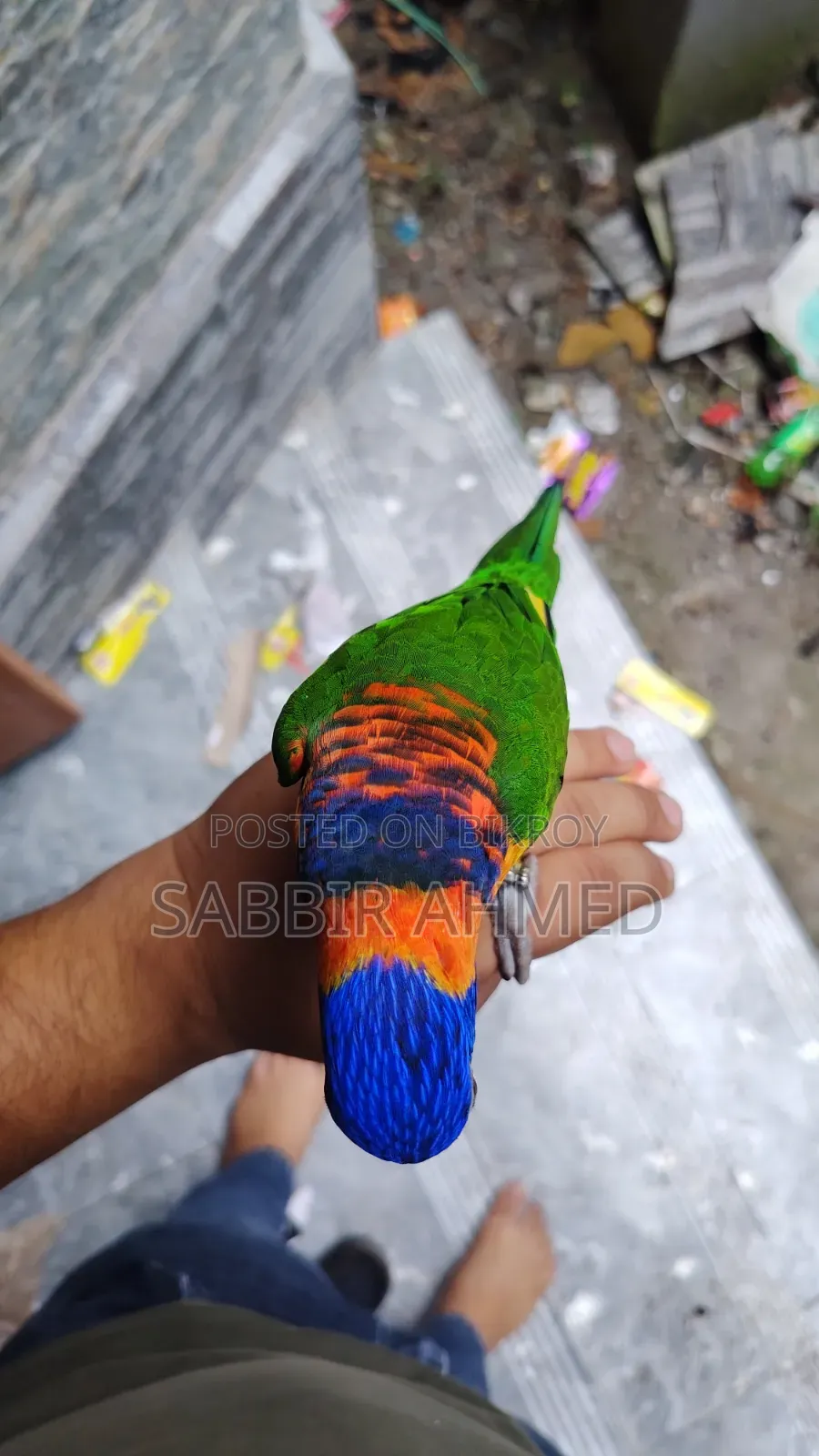 লরি বার্ড সুপার টেম
