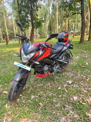 Bajaj Pulsar NS 160 2019 Red