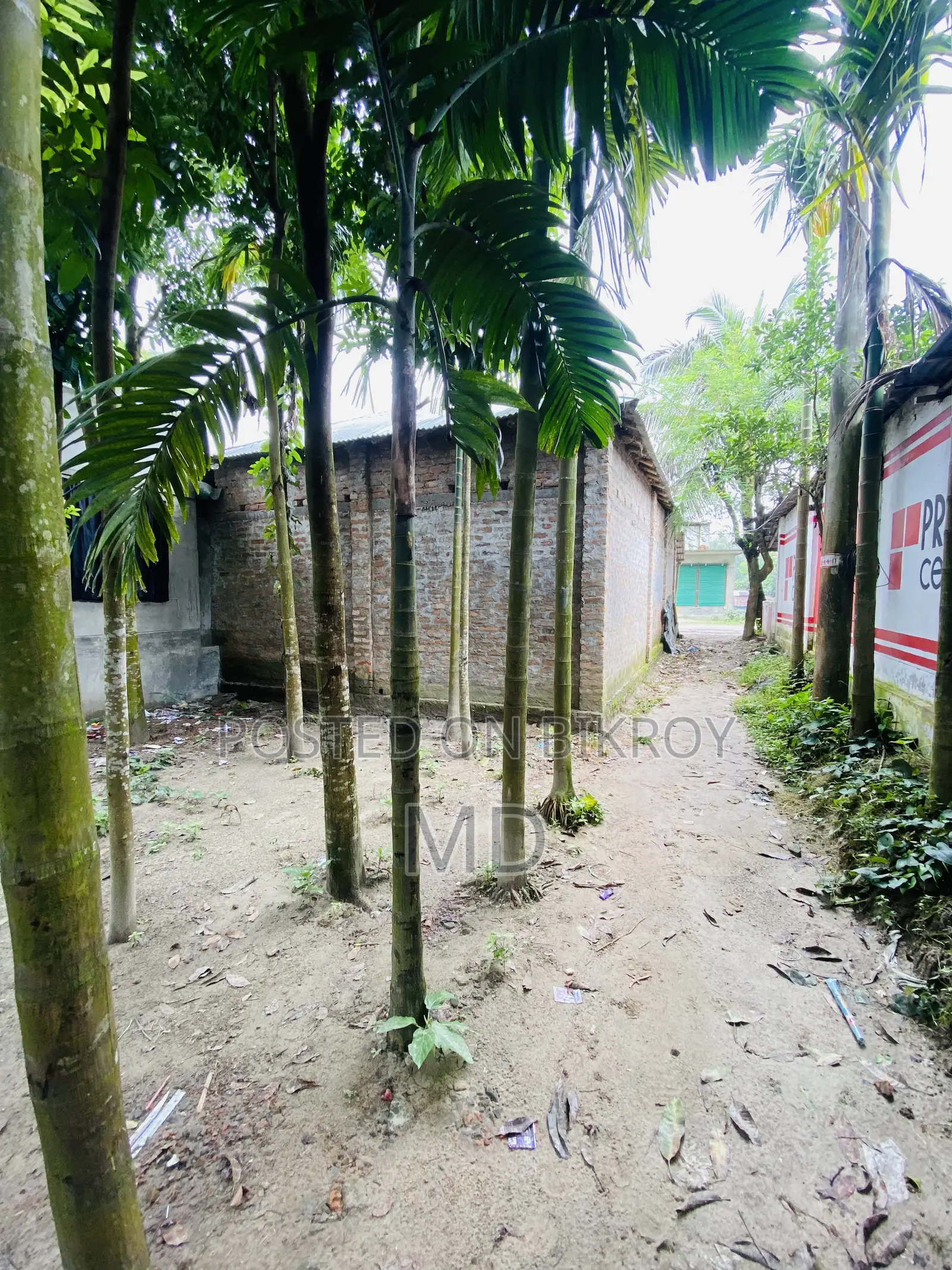 17.5 Decimal Land for Sale Right Beside the Road in Sonatola Baluyahat
