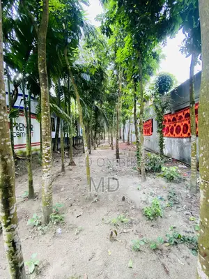 17.5 Decimal Land for Sale Right Beside the Road in Sonatola Baluyahat