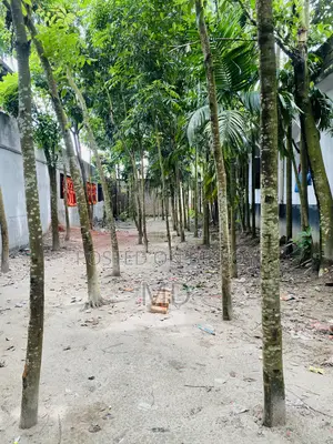 17.5 Decimal Land for Sale Right Beside the Road in Sonatola Baluyahat