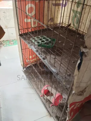 A 4-Compartment Cage for Sale