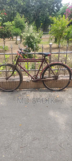 ইন্ডিয়ান হিরো সাইকেল