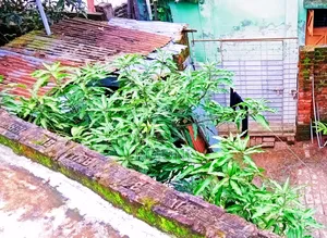 3-Bedroom House in Jashore Sadar for sale