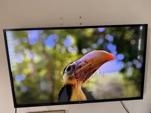LG 43 Inch TV (Un7300) TV