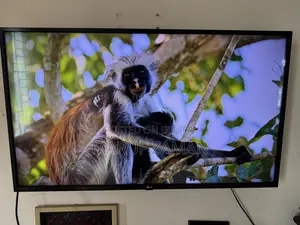 LG 43 Inch TV (Un7300) TV