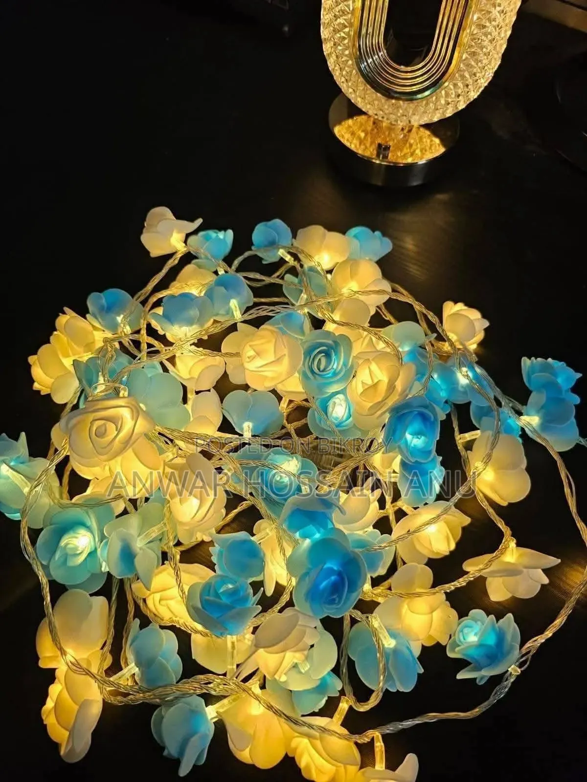 Rose Light