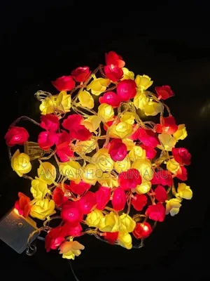 Rose Light
