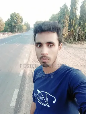 Need a Driving Job
