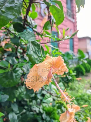স্যামসাং গ্যালাক্সি এফ৪২ ৫জি ১২৮ জিবি ব্ল্যাক