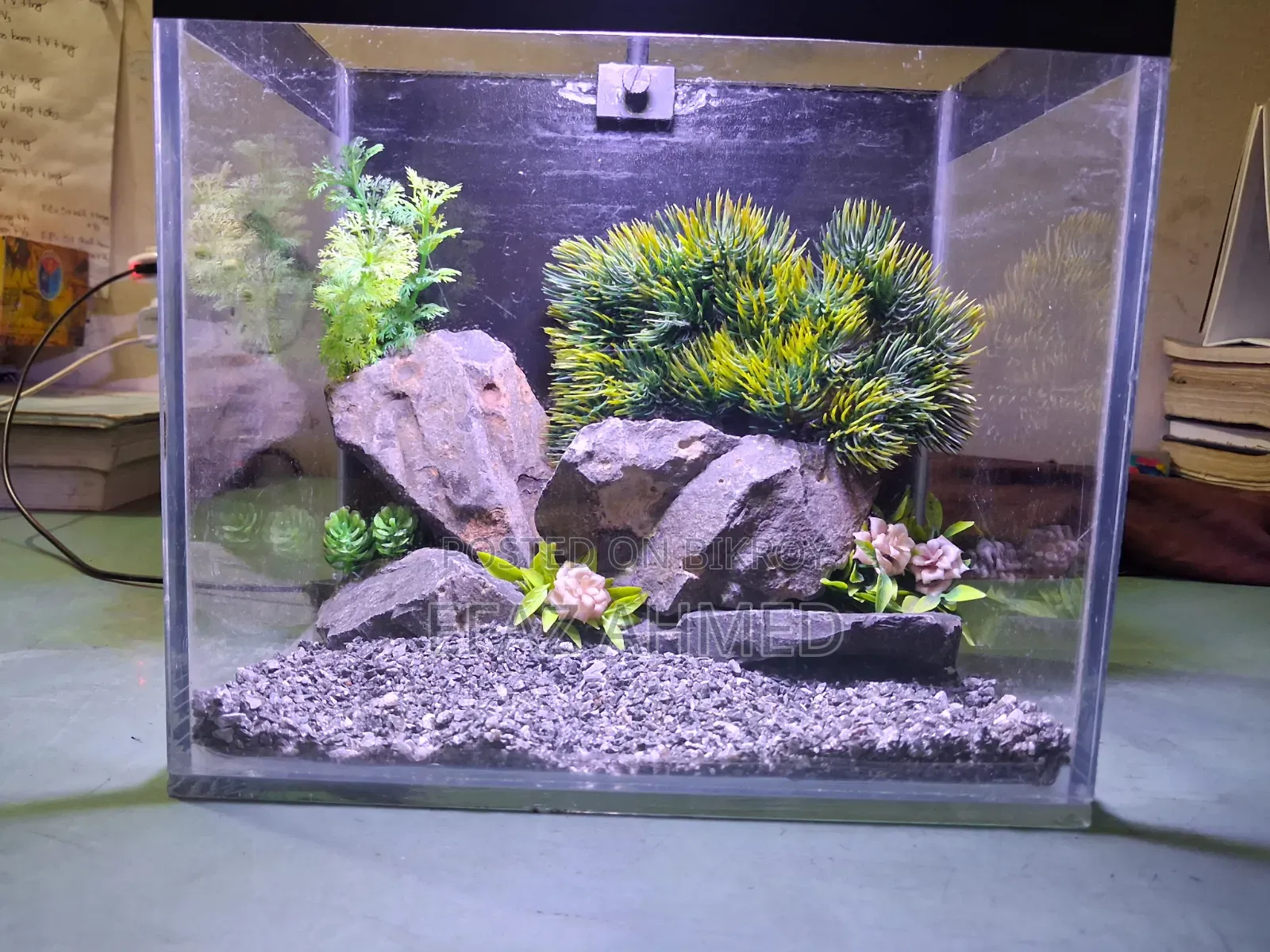 Crystal Clear Nano Glass Aquarium (9" × 6" × 8.2") | 3 Package Options
