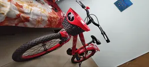 এক্সে সাইকেল