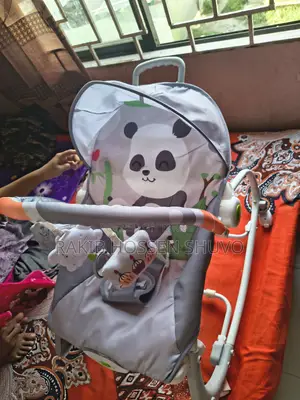 Multifunctional Bouncer